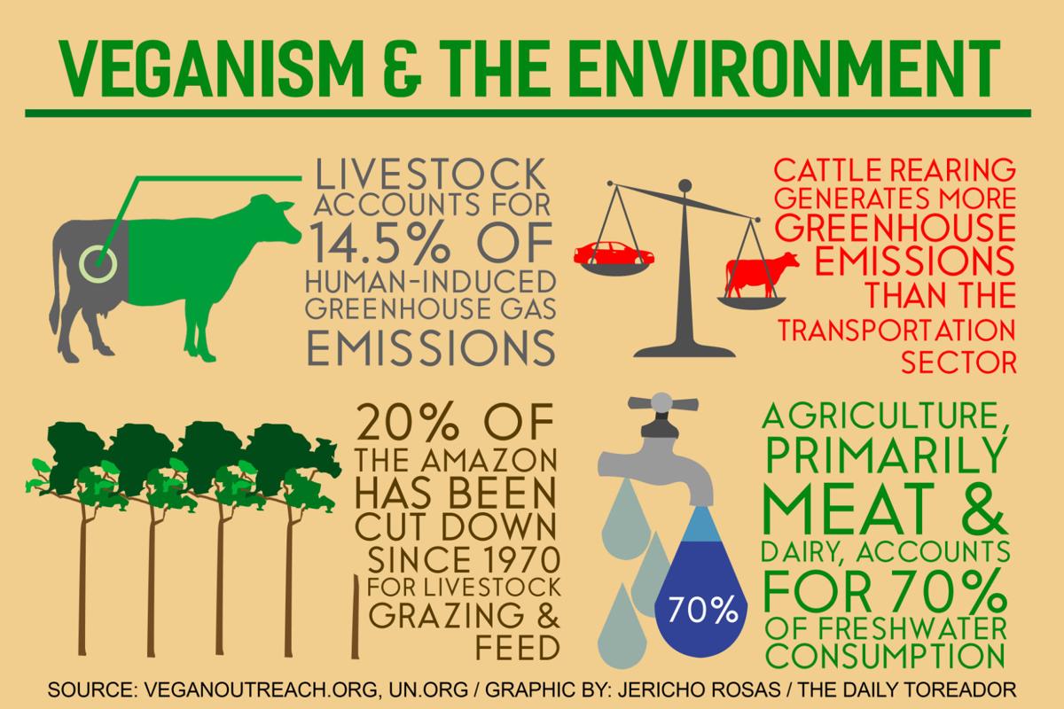 The Benefits Of A Vegan Diet Proutist Universal Progressive